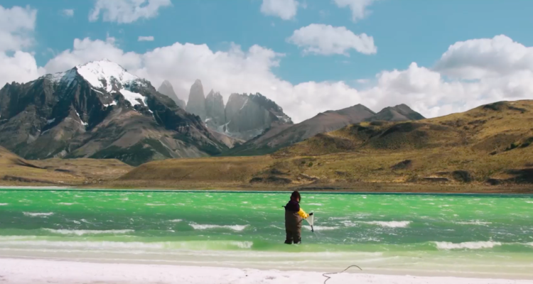 conservacion de bosques y biodiversidad