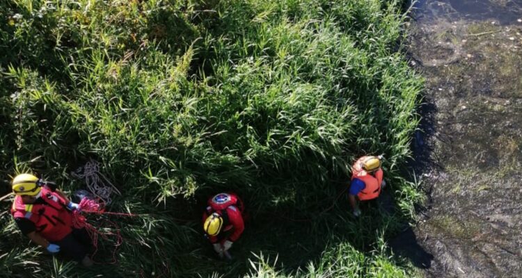 Eduardo Palacios | RBB Osorno