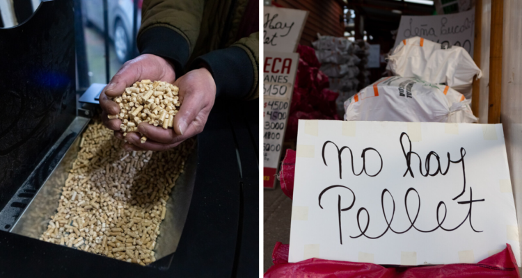 crisis-de-pellet-los-lagos