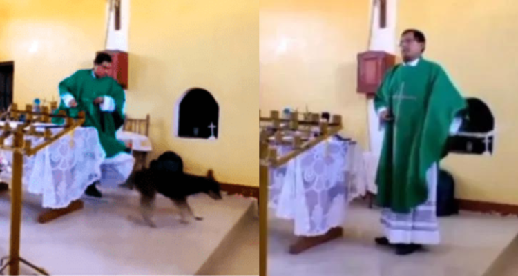 Sacerdote patea perrito