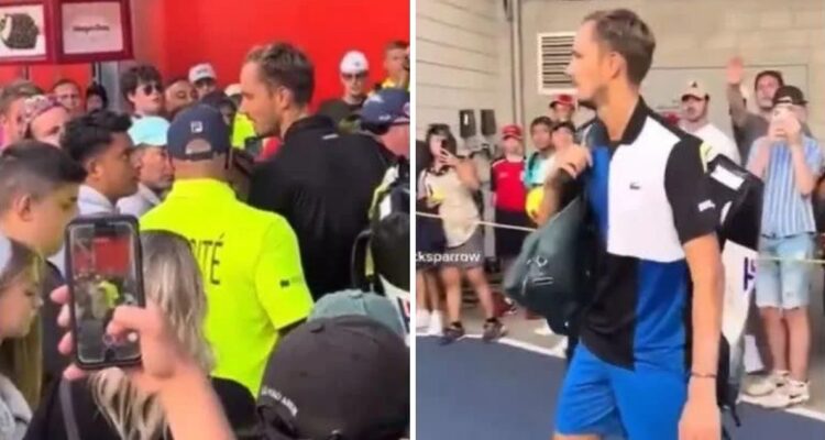 Daniil Medvedev no dejó pasar las críticas de un fanático.