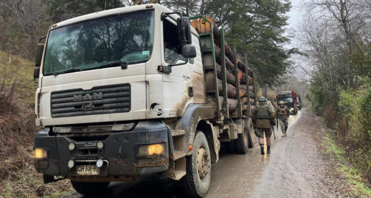 Cinco detenidos deja operativo por robo de madera en fundo de Los Sauces se incautaron 5 camiones
