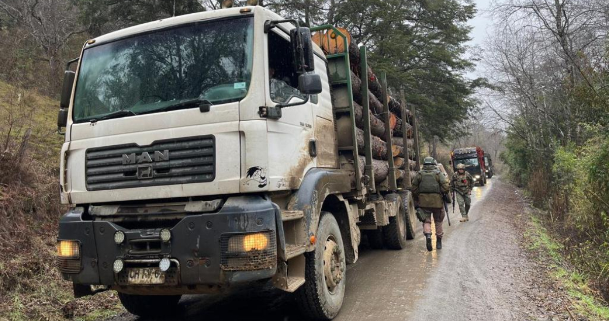 Cinco detenidos deja operativo por robo de madera en fundo de Los Sauces se incautaron 5 camiones