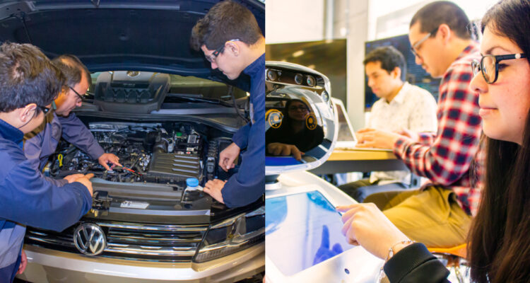 Técnico-profesional