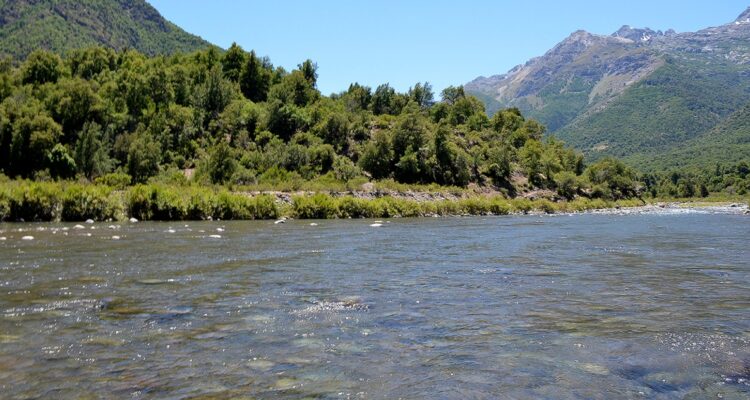 Embalse punilla licitación