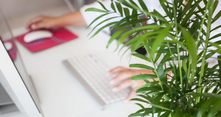 emprendimientos sustentables