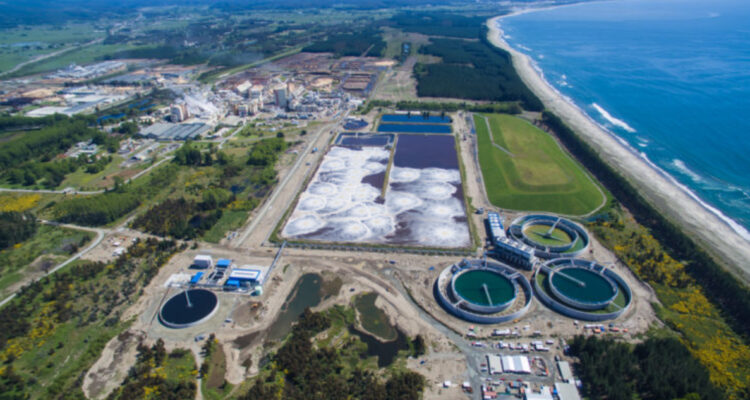 Empresa Arauco paga por primera vez patente comercial en la ciudad y no en Las Condes