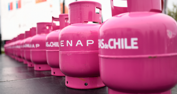 Gobierno ENAP gas