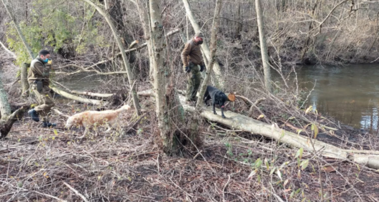 Encuentran muerto a adulto mayor desaparecido en Yumbel: hombre padecía alzheimer