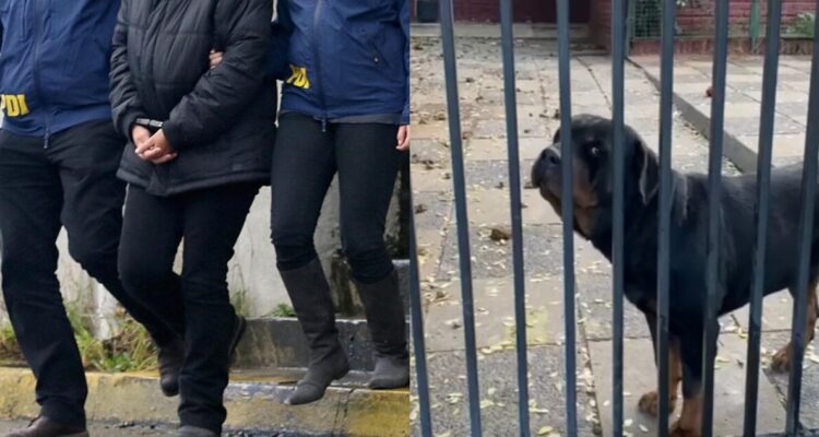 Con arraigo nacional queda dueña de perros que atacaron a niña en La Reina