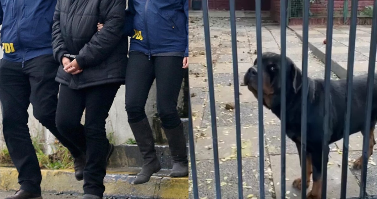 Con arraigo nacional queda dueña de perros que atacaron a niña en La Reina