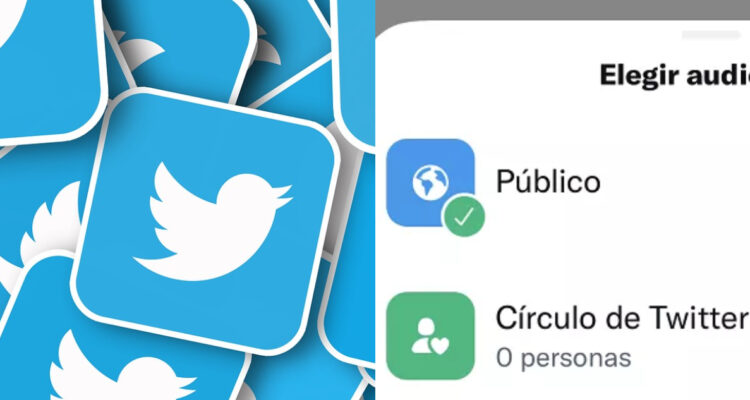 círculo-verde-de-twitter