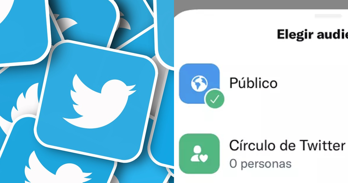 círculo-verde-de-twitter