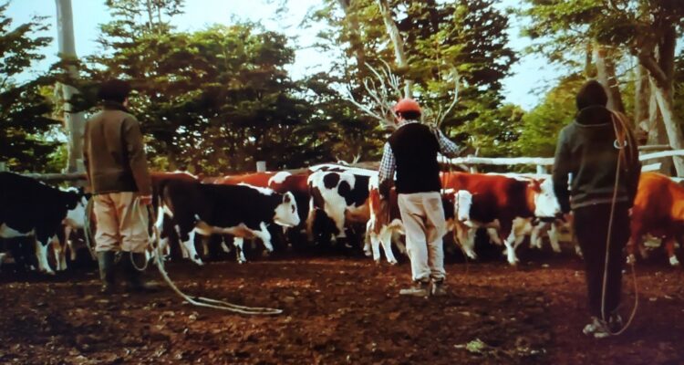 Sobre las huellas del tiempo