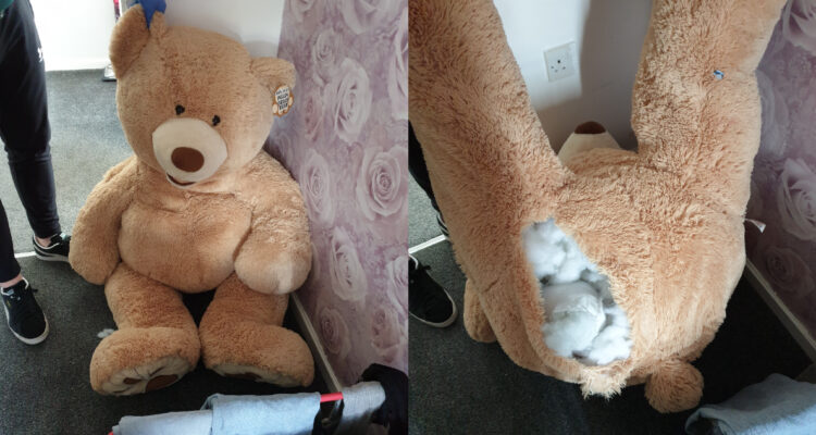 oso de peluche gigante