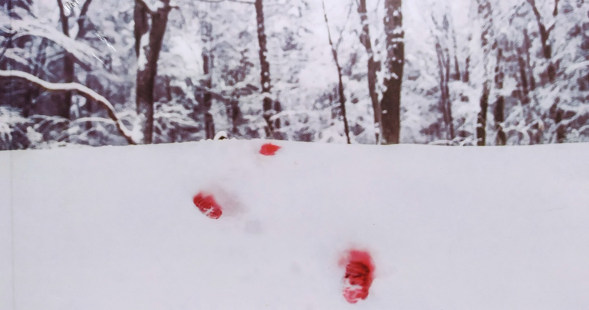 Lágrimas de nieve