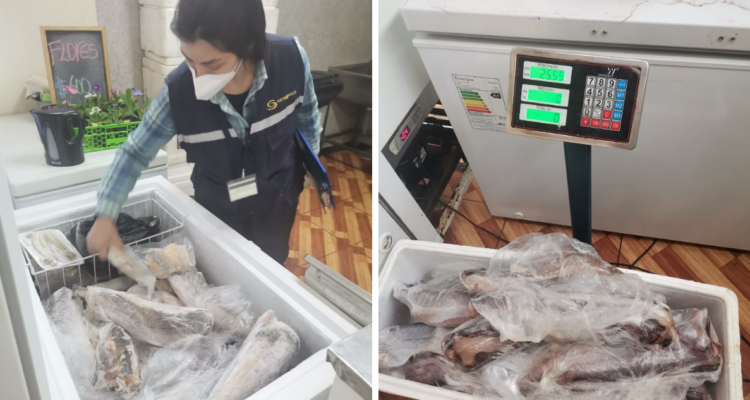 Incautación de pescados en Teodoro Schmidt