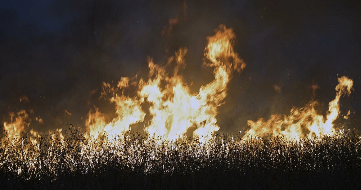 Incendios forestales se duplican en todo el mundo en 20 años
