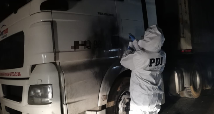 Indagan robo de salmones en Los Ríos