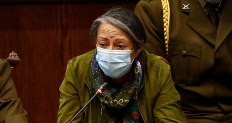 INDH sumario víctimas