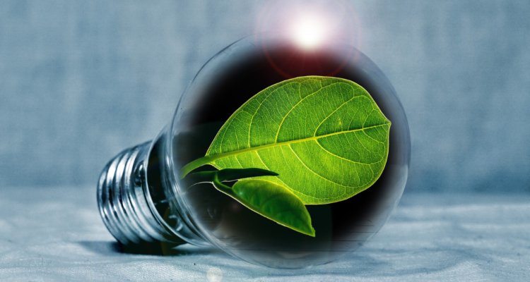 innovación y sostenibilidad