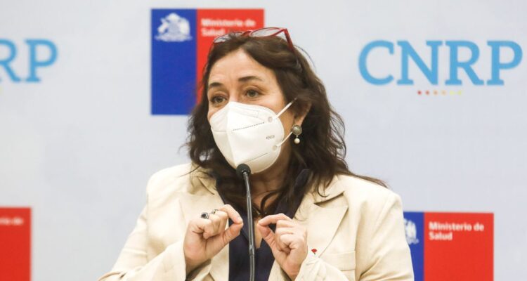 Interpelación ministra Yarza