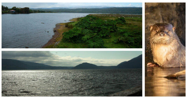 Lagos de Chiloè son Santuarios de la Naturaleza