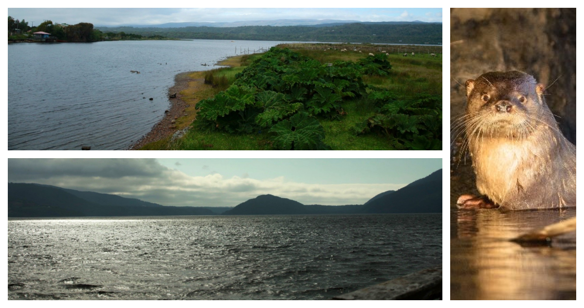 Lagos de Chiloè son Santuarios de la Naturaleza