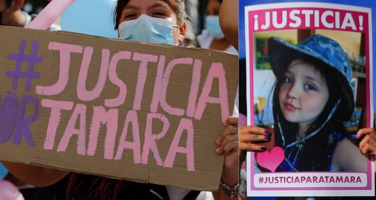 Qué es y de qué se trata la Ley Tamara