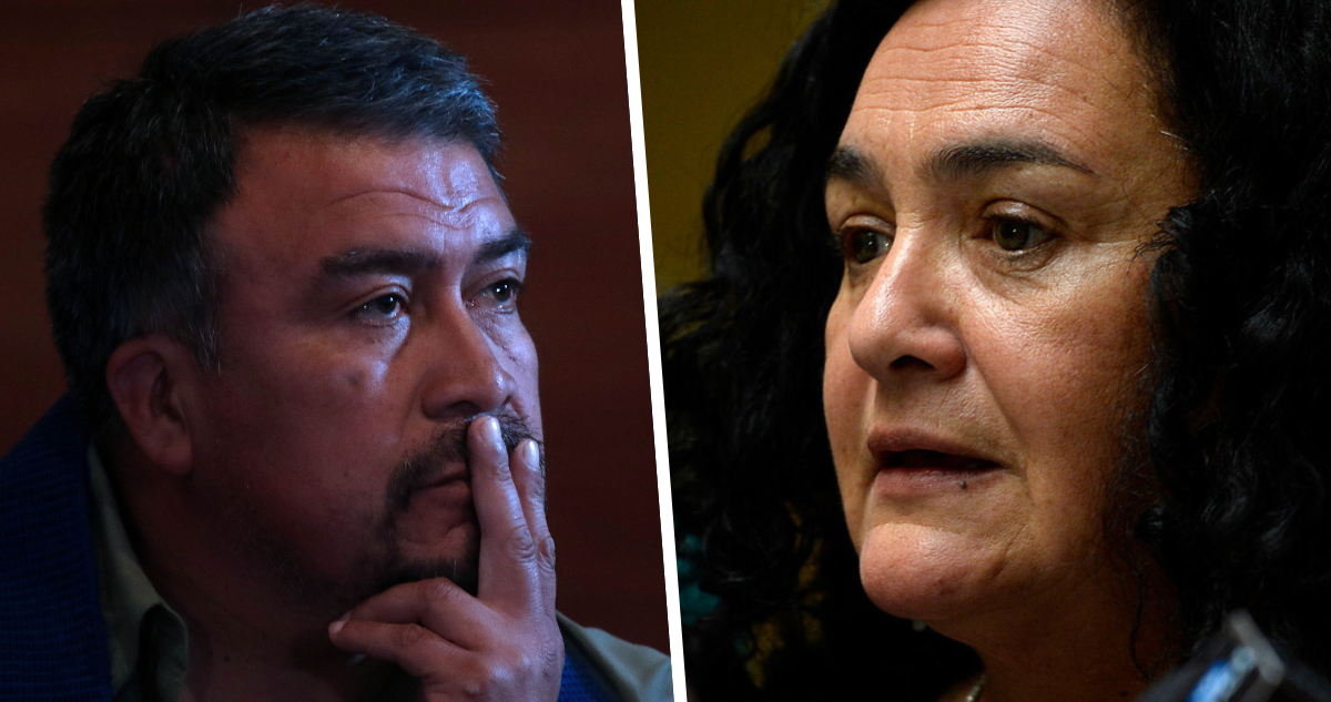 Imagen compuesta de Llaitul y Clemira Pacheco