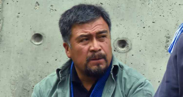 Llaitul repasa a Siches y asegura que madera robada por la CAM no es parte del circuito comercial.