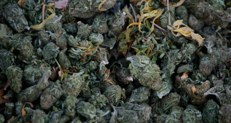 tráfico de marihuana Temuco