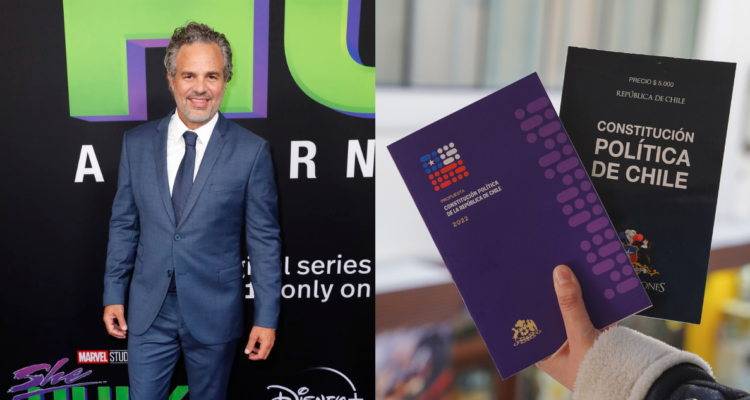 mark-ruffalo-plebiscito-constitucion