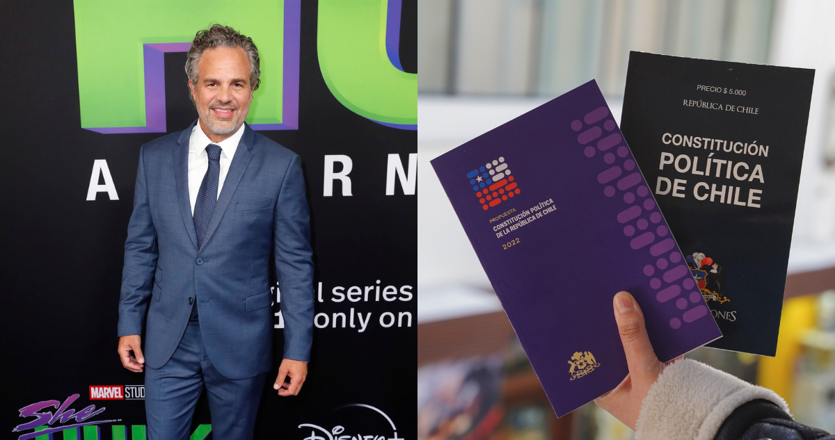mark-ruffalo-plebiscito-constitucion