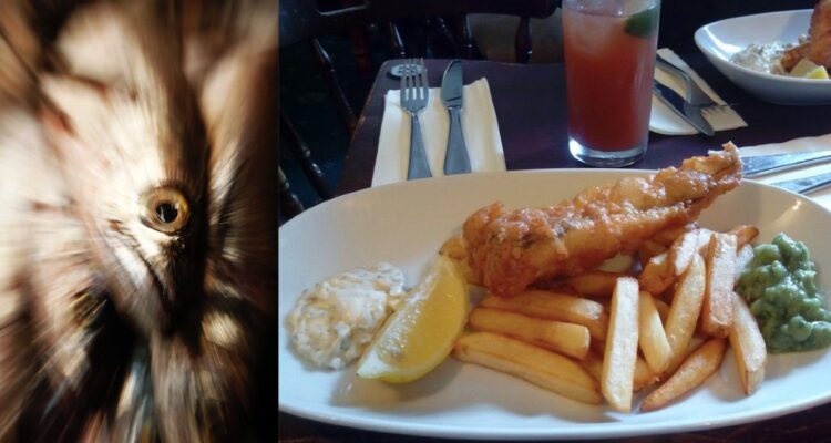 Justicia ordena donar 12 toneladas de merluza a la comunidad de Aysén