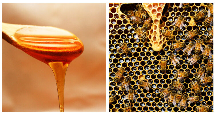 MIEL DE ABEJA