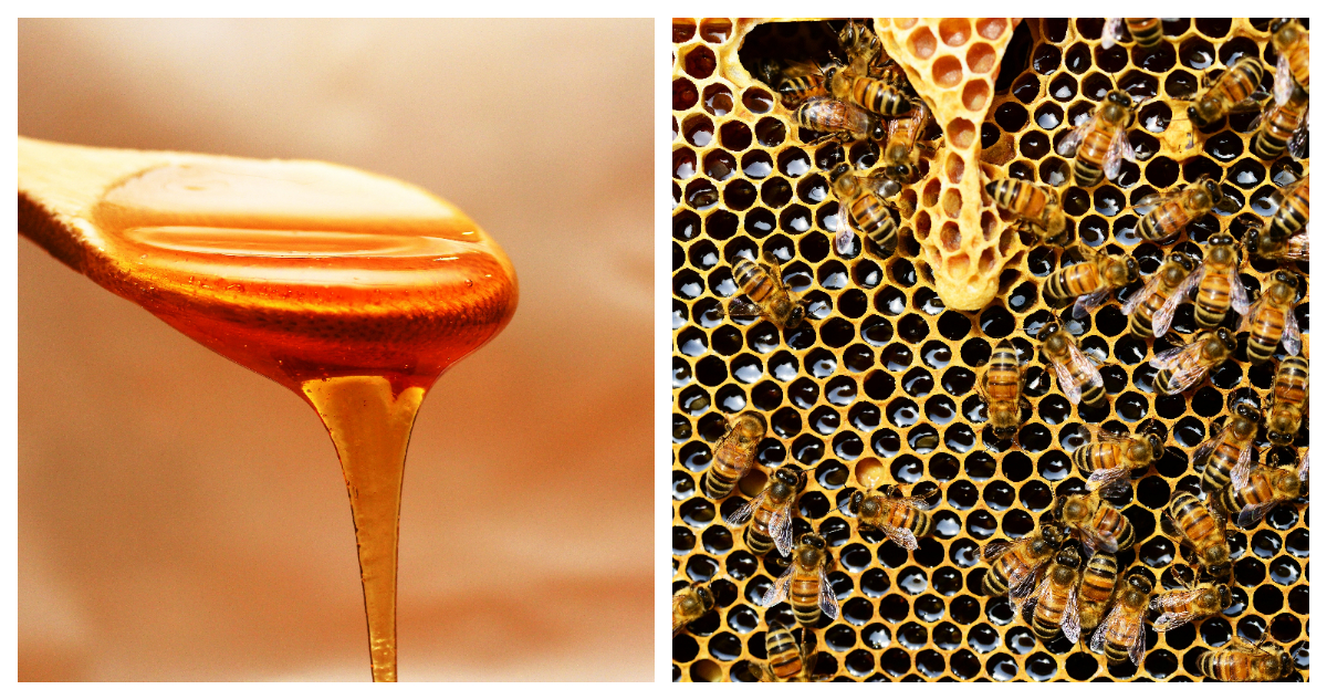 MIEL DE ABEJA