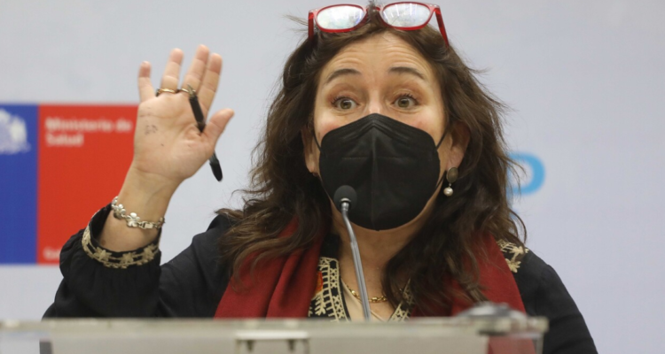 María Begoña Yarza, ministra de Salud,