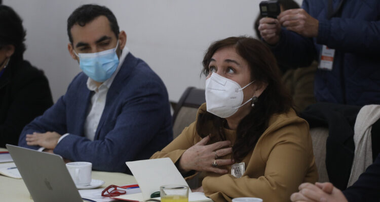 Ministra Yarza y balance covid-19