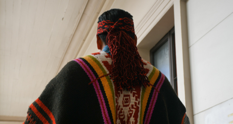 Gobierno aún no concreta parlamentos territoriales, pese a compromiso de iniciar en julio.