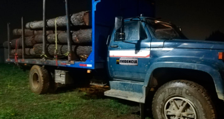 PDI detiene a implicados robo de madera en Valdivia
