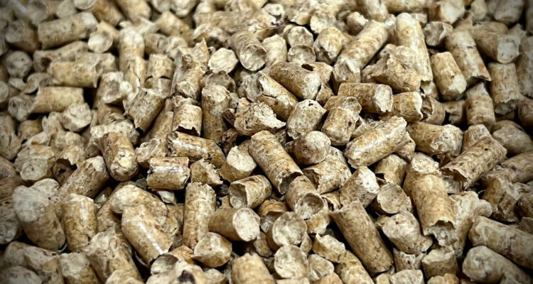 Autoridades detectan venta ilegal de pellet y sobreprecios en Valdivia