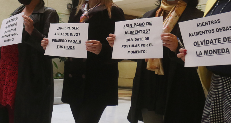 proyecto deudores de pensión