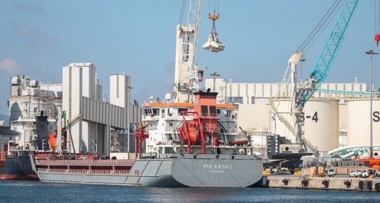 Barco con cereal desde Ucrania en Estambul