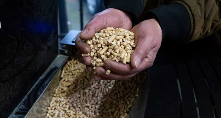 Producción de pellet aumenta un 30% en Los Ángeles ante mayor demanda