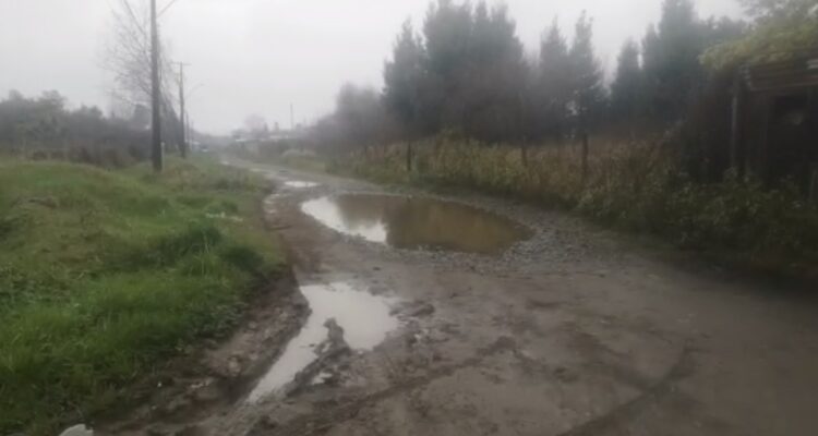 Captura de video | Carlos López | RBB Valdivia