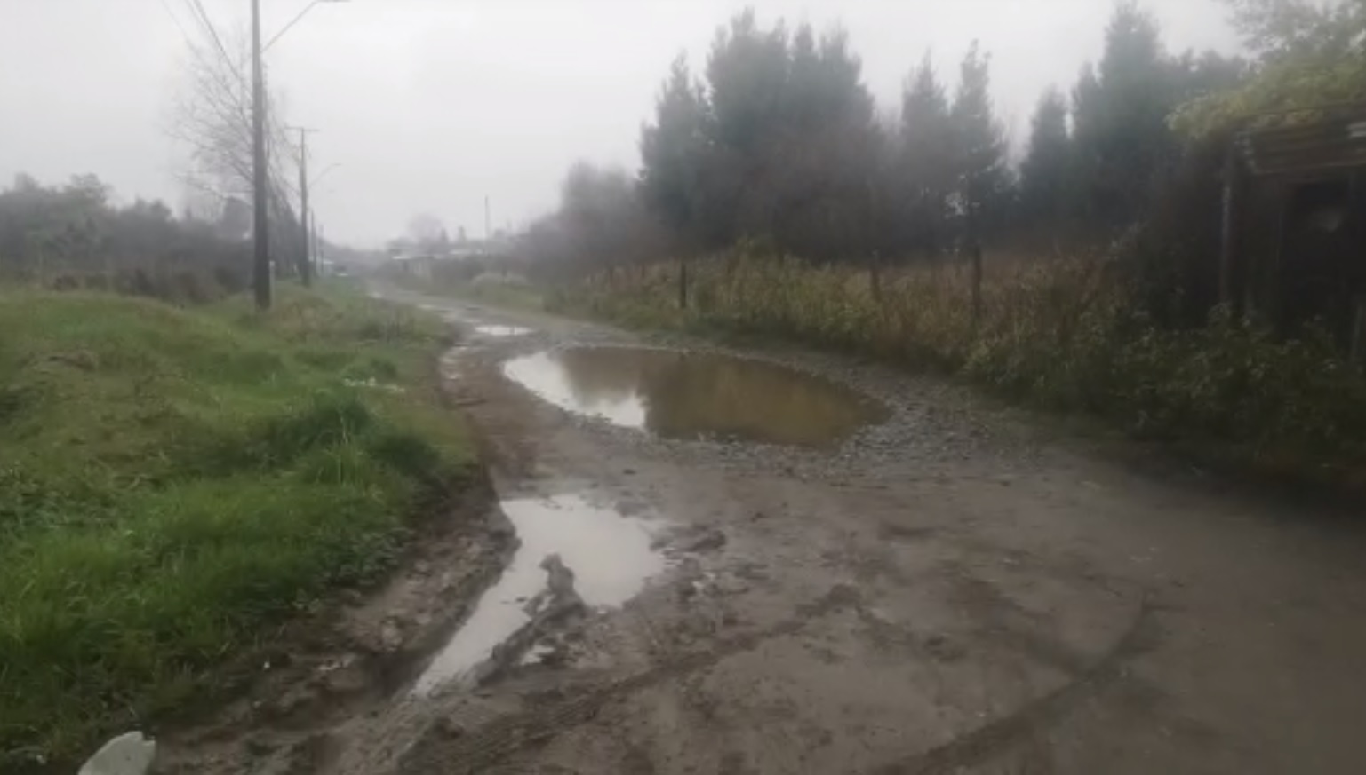 Captura de video | Carlos López | RBB Valdivia