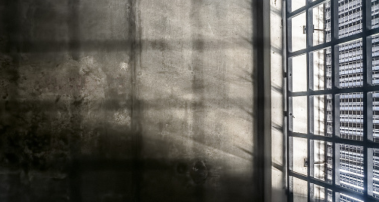 Piden presidio perpetuo para el mayor violador en serio de Concepción, Psicópata del Parque Ecuador.