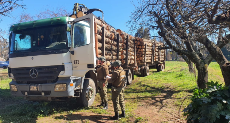 robo de madera en collipulli