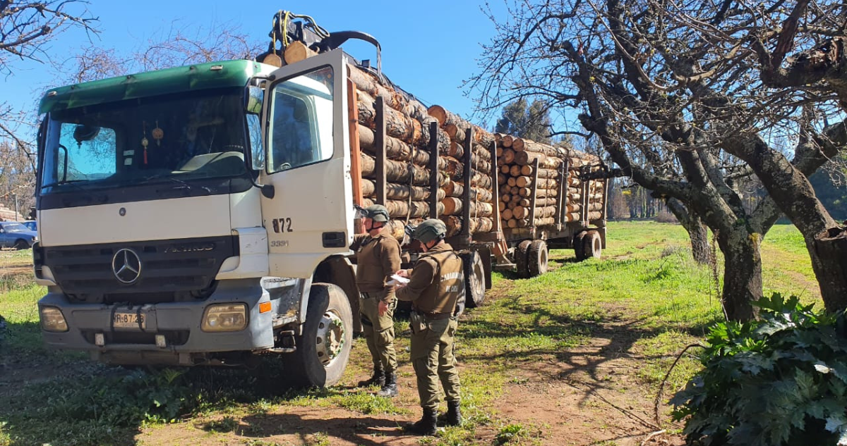 robo de madera en collipulli